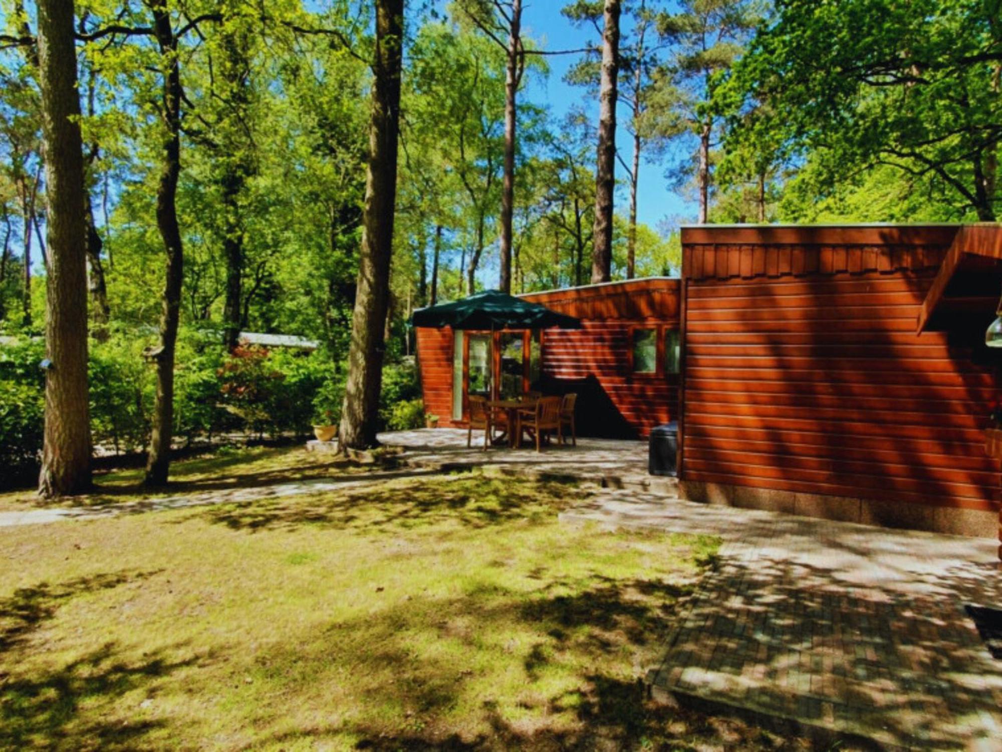 Wooden Nature Chalet - Dennenrhode Doornspijk Villa Exterior photo